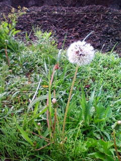 201305310606.jpg