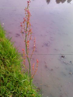 201305310612.jpg