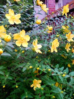 201305310620.jpg