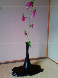 201306060822.jpg