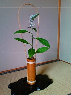 201306121702.jpg