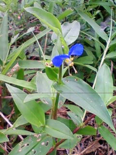 201306250911.jpg