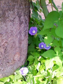201307110840.jpg