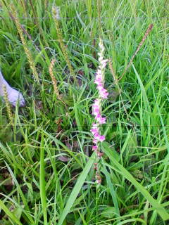 201307111749.jpg