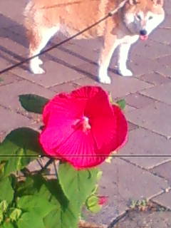 201307170628.jpg