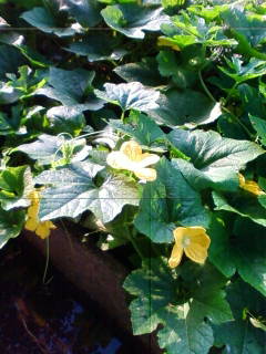 201307230628.jpg