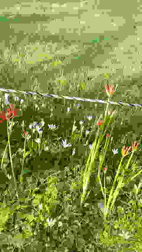 2014091706510000.jpg