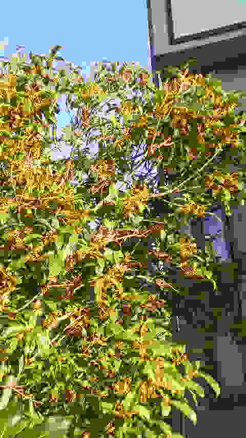 2014092606410000.jpg