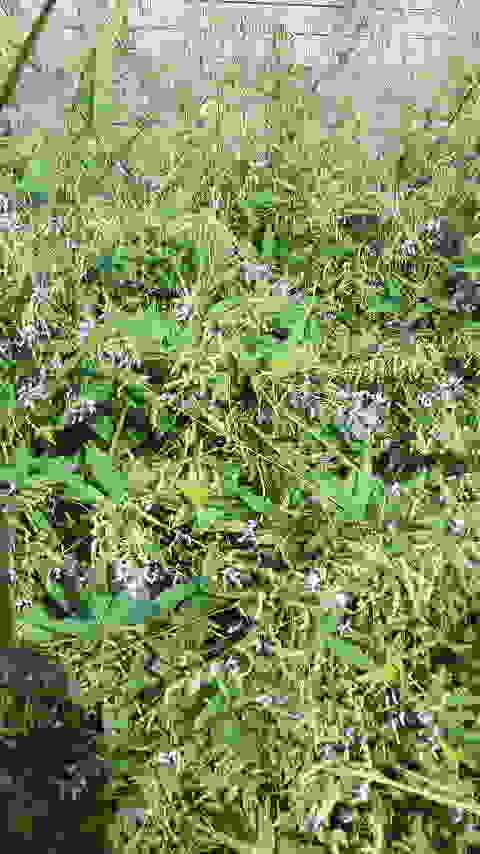 2014092909450000.jpg