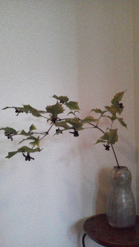 2014100510410000.jpg