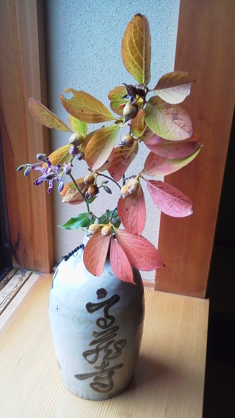 2014100510550000.jpg