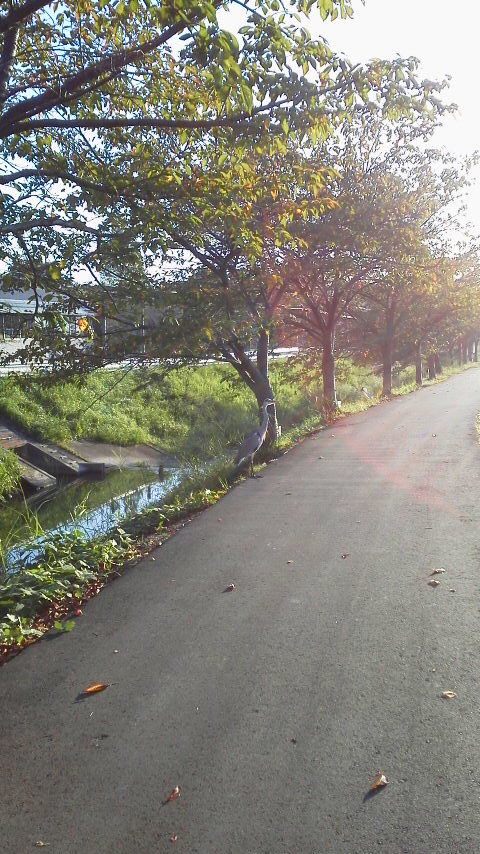 2014100807070000.jpg
