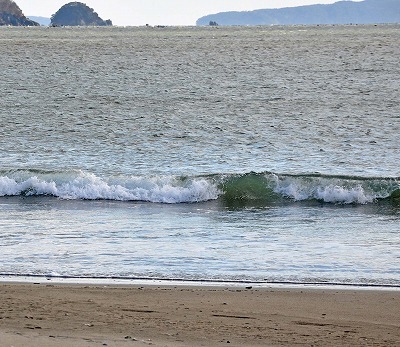 20120209009.jpg