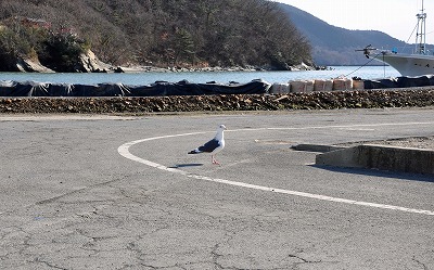 20120209043.jpg