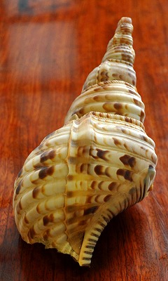 20120210001.jpg