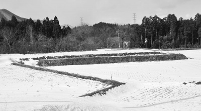 20120217005.jpg