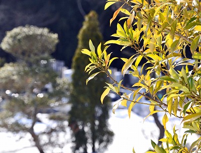 20120217008.jpg