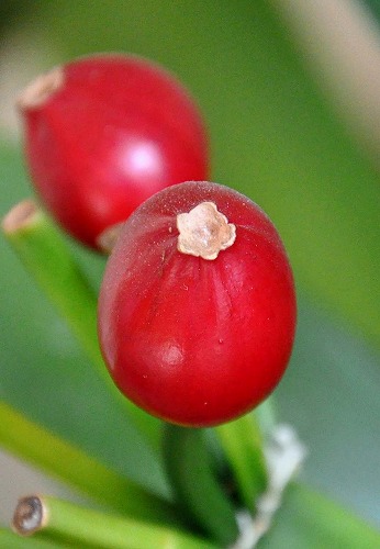 20120415012.jpg