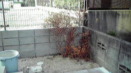 熊本のカシマホーム