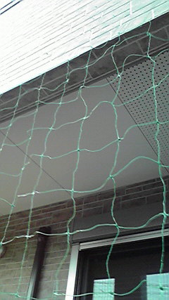 カシマホーム