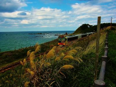 津軽鉄道 くまげら
