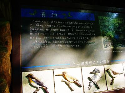 白神山地