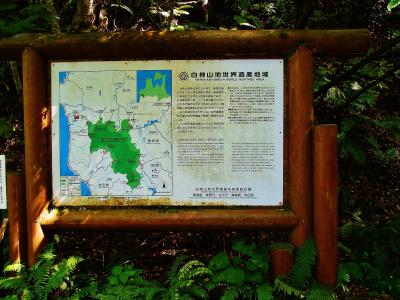 白神山地