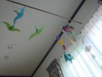DSC05733.jpg