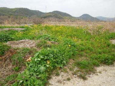 DSCN0015.jpg