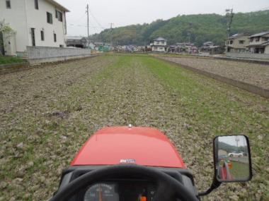 DSCN0333.jpg