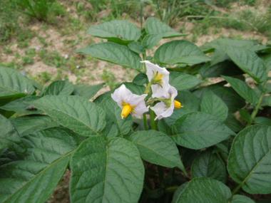 DSCN0410.jpg