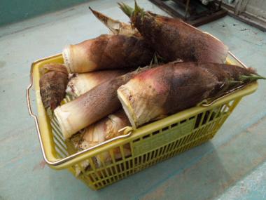DSCN0423.jpg