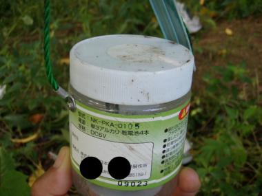 P8293329-1.jpg