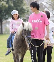 s-ひき馬