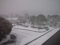 雪景色(2012.2.2)2
