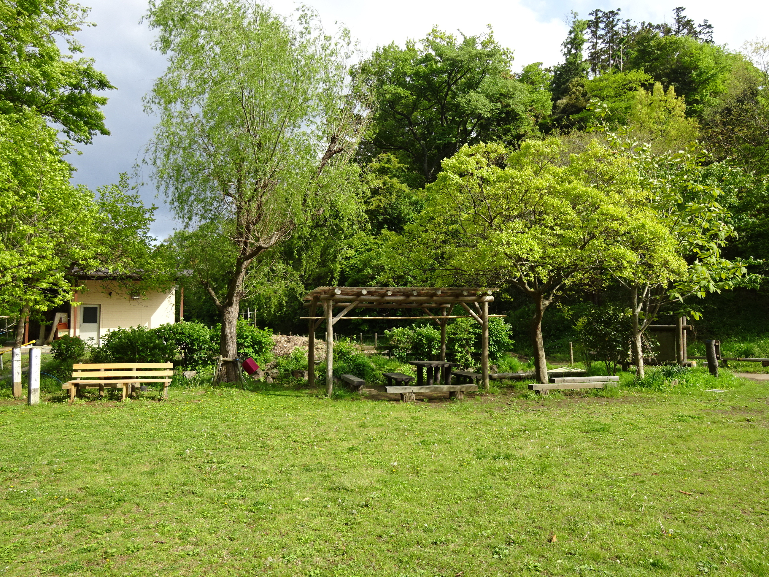 DSC05853.jpg