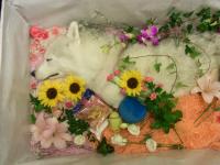 momoka_july23 (6)