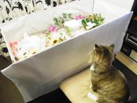 momoka_july23 (7)