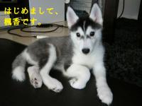 fuka_2011,08,15 (44-2)