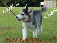fuka_010.jpg