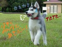 fuka_011.jpg