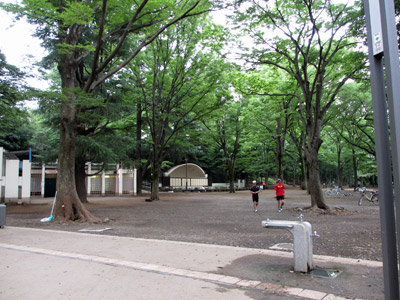 朝の井の頭公園