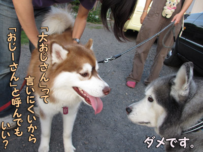 パルクちゃんとトリュフ