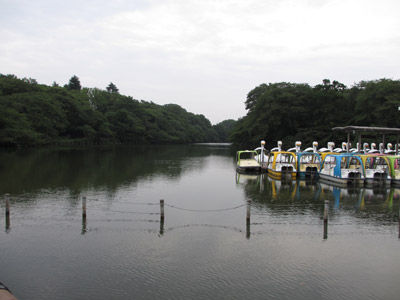 朝の井の頭公園