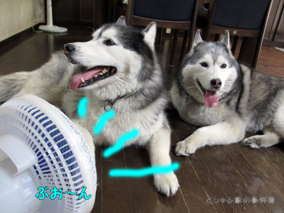 扇風機