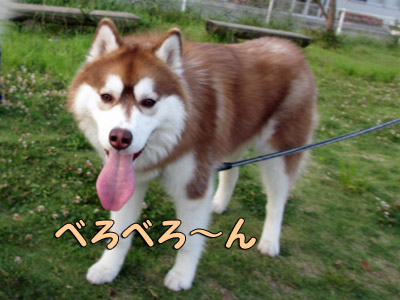 パルクちゃん