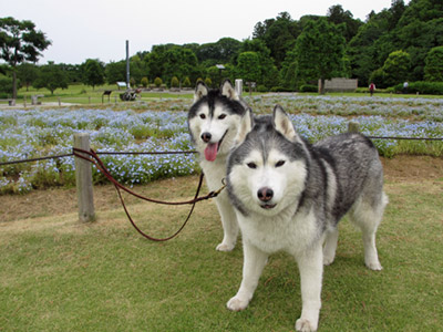 千波公園