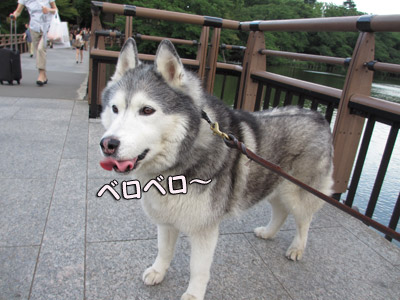 井の頭公園