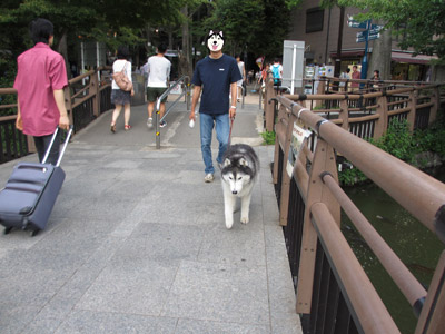 井の頭公園