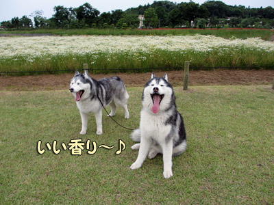 千波公園